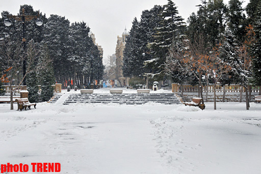 Gəncədə güclü qar yağır