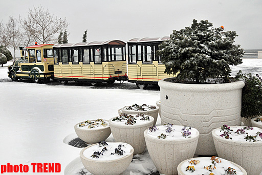 Bakının qar mənzərəsi (FOTOSESSİYA)