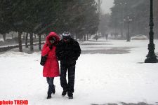 Fotolarda: Bəyaz Bakı