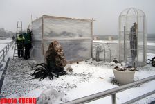 FOTOLARDA: "Üşüyən" Bakı
