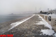 FOTOLARDA: "Üşüyən" Bakı