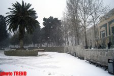 FOTOLARDA: "Üşüyən" Bakı