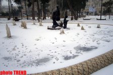 FOTOLARDA: "Üşüyən" Bakı