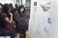 Yüzlərlə insan "012 Baku Public Art Festival" festivalının qonağı olub (FOTO)