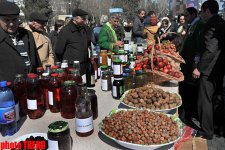 Bakıda Novruz bayramı qeyd olunur – FOTOSESSİYA