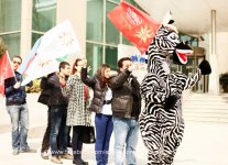 Azərbaycanda əhalinin "Eurovision"a marağını artırmaq üçün müxtəlif tədbirlər keçiriləcək (FOTO)