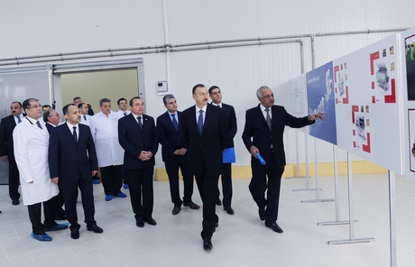 Qazaxda konserv zavodunun açılışı olub (FOTO)