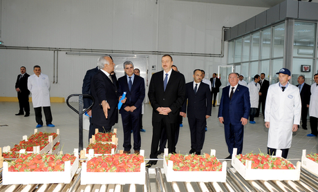 Qazaxda konserv zavodunun açılışı olub (FOTO)