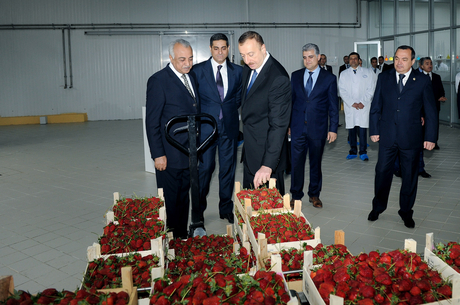Qazaxda konserv zavodunun açılışı olub (FOTO)