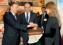 Prezident İlham Əliyev Bakıda keçirilən beynəlxalq turizm və səyahətlər sərgisi ilə tanış olub (FOTO)