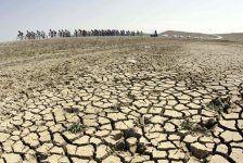 Azərbaycanda keçirilən beynəlxalq veloturun ikinci mərhələsi başa çatıb (FOTO)