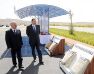 Prezident İlham Əliyev Naxçıvan Şəhər Gömrük İdarəsinin, FHN-in inzibati binalarının və sement zavodunun açılışında iştirak edib (ƏLAVƏ OLUNUB) (FOTO)