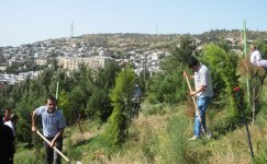 Ekologiya və Təbii Sərvətlər Nazirliyi Bayıl yamacında iməcilik keçirib (FOTO)