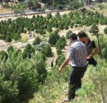 Ekologiya və Təbii Sərvətlər Nazirliyi Bayıl yamacında iməcilik keçirib (FOTO)