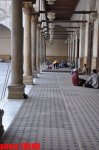 İnqilabdan sonra Misir (FOTO)