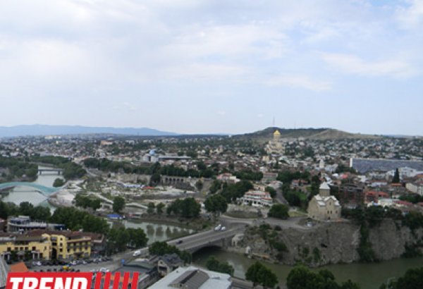 Bidzina İvanişvilinin köpək balığı ölüb
