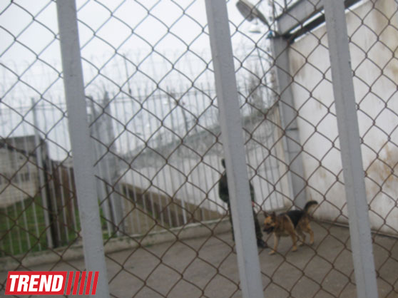 Azərbaycanın penitensiar orqanlarında kadr dəyişiklikləri olub