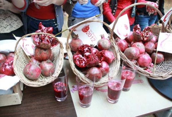 Göyçayda Nar bayramı (FOTO)