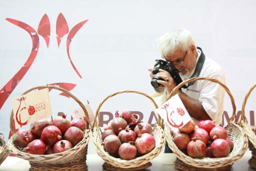 Göyçayda Nar bayramı (FOTO)