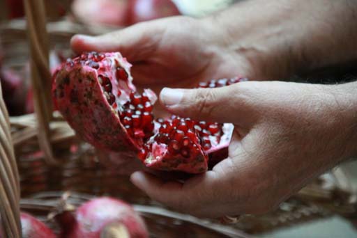 Göyçayda Nar bayramı (FOTO)