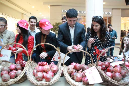 Göyçayda Nar bayramı (FOTO)