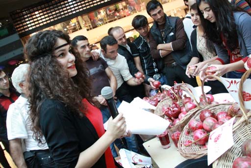 Göyçayda Nar bayramı (FOTO)