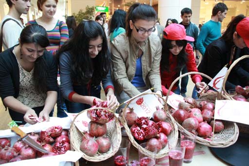 Göyçayda Nar bayramı (FOTO)