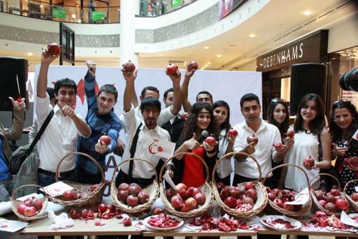 Göyçayda Nar bayramı (FOTO)