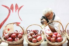 Göyçayda Nar bayramı (FOTO)