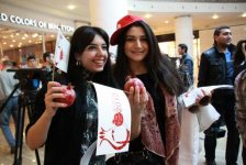 Göyçayda Nar bayramı (FOTO)