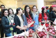 Göyçayda Nar bayramı (FOTO)