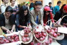 Göyçayda Nar bayramı (FOTO)