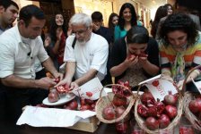 Göyçayda Nar bayramı (FOTO)