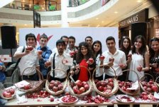 Göyçayda Nar bayramı (FOTO)