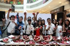 Göyçayda Nar bayramı (FOTO)