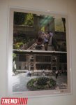 Azərbaycan və Rusiya fotoqraflarının birgə sərgisi açılıb (FOTO)