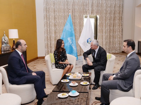 Leyla Əliyeva: Azərbaycanda ekoloji proqramlara və layihələrə böyük diqqət yetirilir (FOTO)