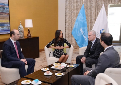 Leyla Əliyeva: Azərbaycanda ekoloji proqramlara və layihələrə böyük diqqət yetirilir (FOTO)