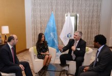 Leyla Əliyeva: Azərbaycanda ekoloji proqramlara və layihələrə böyük diqqət yetirilir (FOTO)