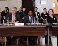 Leyla Əliyeva: Azərbaycan Şərqi Avropada “yaşıl iqtisadiyyat”ın tədqiqini öz üzərinə götürən ilk ölkədir (FOTO)