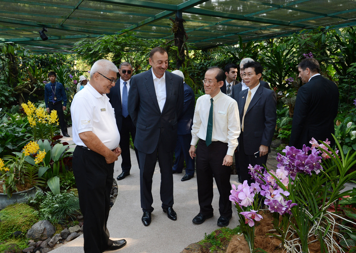 Prezident İlham Əliyev Sinqapur şəhərindəki Milli Səhləb Bağı ilə tanış olub (FOTO)