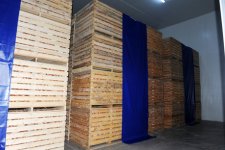 İlham Əliyev Füzulidə soyuducu anbar kompleksini açıb (FOTO)
