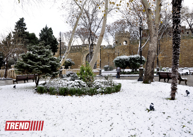Bəyaza bürünmüş Bakı (FOTO)