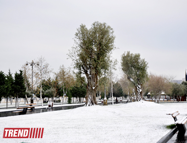 Bəyaza bürünmüş Bakı (FOTO)