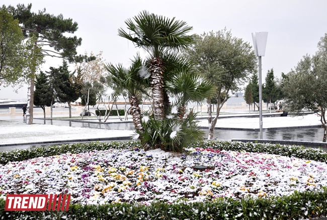 Bəyaza bürünmüş Bakı (FOTO)