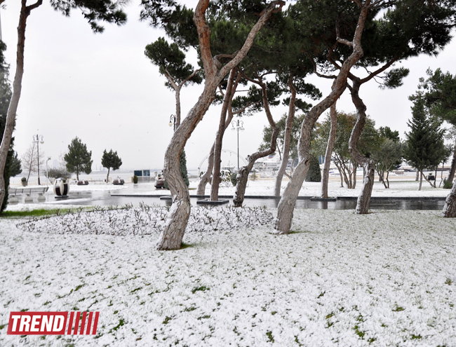 Bəyaza bürünmüş Bakı (FOTO)