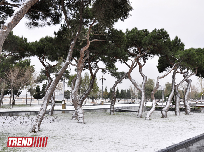 Bəyaza bürünmüş Bakı (FOTO)