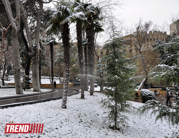 Bəyaza bürünmüş Bakı (FOTO)