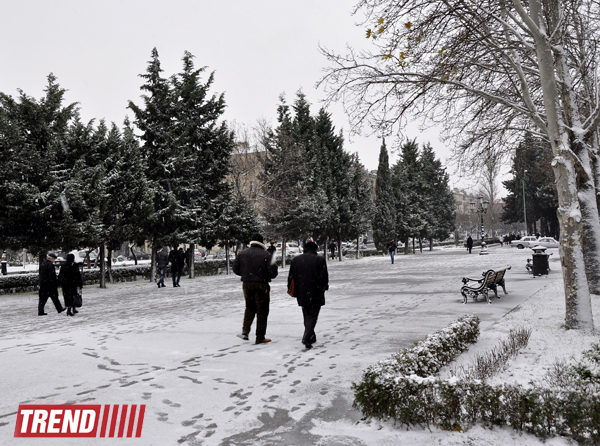 Bəyaza bürünmüş Bakı (FOTO)