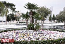 Bəyaza bürünmüş Bakı (FOTO)